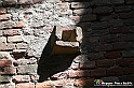 VBS_4484 - Castellinaldo d'Alba